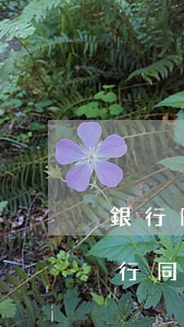 銀行同意只還本金沒有減免證明怎么辦-銀行同意只還本金沒有減免證明怎么辦理
