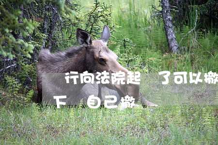 銀行向法院起訴了可以撤訴嗎(銀行什么情況下會自己撤訴)