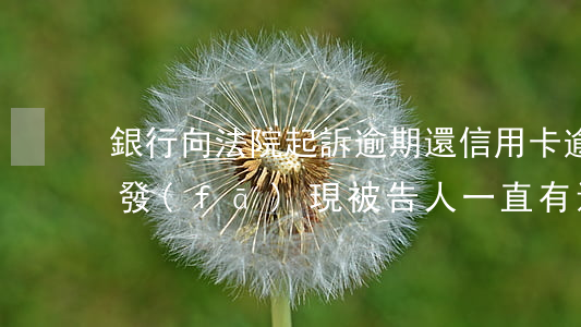銀行向法院起訴逾期還信用卡(逾期被起訴后,發(fā)現被告人一直有還其他銀行的信用卡)