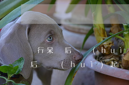 銀行呆賬后還會(huì)起訴嗎(銀行呆賬后還會(huì)起訴嗎)