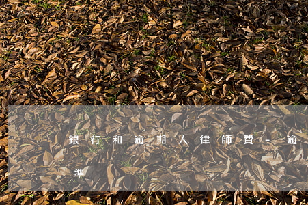 銀行和逾期人律師費-逾期律師費用收取標準