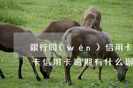 銀行問(wèn)信用卡逾期怎么回答(銀行卡信用卡逾期有什么辦)