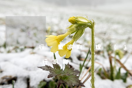 銀行嚴重逾期處理結(jié)果（2015銀行逾期）