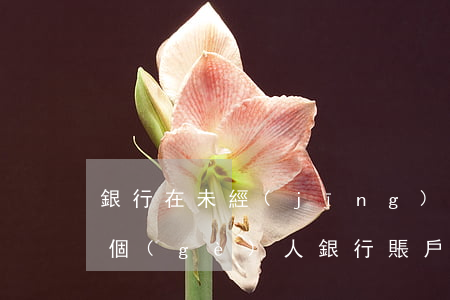 銀行在未經(jīng)允許的情況下泄露個(gè)人銀行賬戶信息怎么處罰