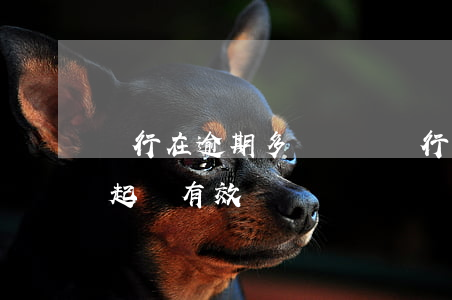 銀行在逾期多長時間進行起訴(銀行逾期多久起訴有效)