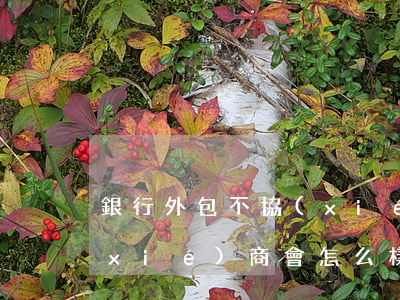 銀行外包不協(xié)商(銀行外包不協(xié)商會怎么樣)