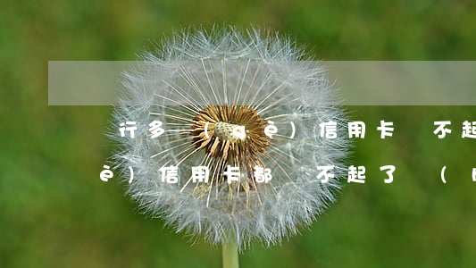銀行多個(gè)信用卡還不起(好幾個(gè)信用卡都還不起了會(huì)怎么樣)