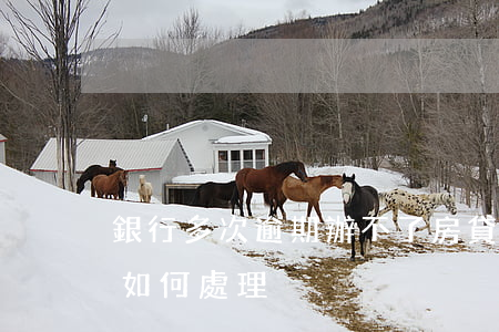 銀行多次逾期辦不了房貸(房貸逾期多次銀行如何處理)
