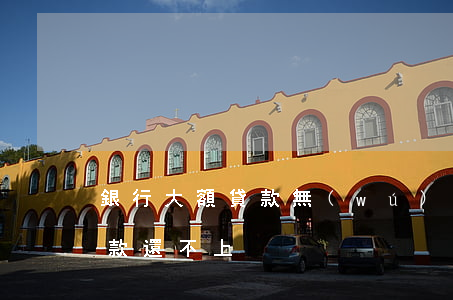 銀行大額貸款無(wú)力償還(銀行大額貸款還不上)