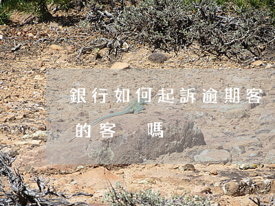 銀行如何起訴逾期客戶(銀行一般會起訴逾期的客戶嗎)