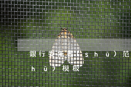 銀行委托書(shū)范本(銀行委托書(shū)模板)