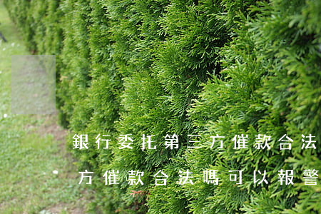 銀行委托第三方催款合法嗎-銀行委托第三方催款合法嗎,可以報警