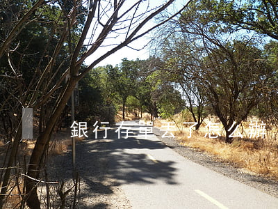 銀行存單丟了怎么辦