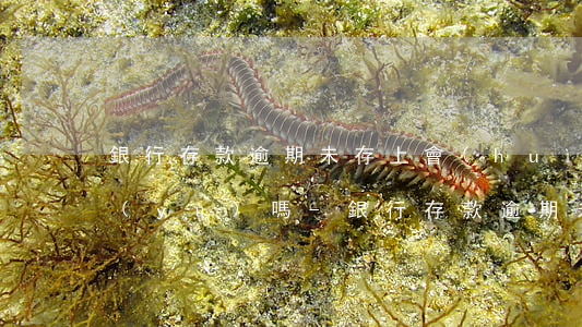 銀行存款逾期未存上會(huì)影響信譽(yù)嗎-銀行存款逾期未存上會(huì)影響信譽(yù)嗎知乎