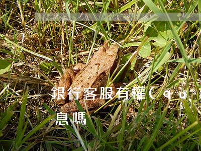 銀行客服有權(quán)利減免信用卡利息嗎