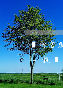 銀行客服電話(huà)欠信用卡怎么投訴-投訴銀行電話(huà)客服有用嗎