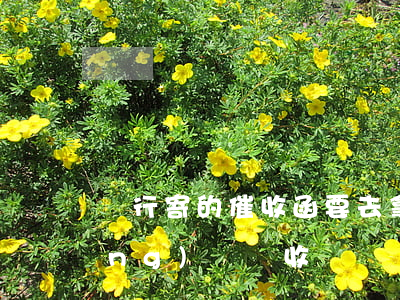 銀行寄的催收函要去拿嗎(催收函件應(yīng)該簽收嗎)