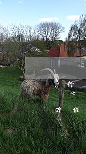 銀行將信用卡逾期轉(zhuǎn)包第三方催收（信用卡逾期轉(zhuǎn)法催部）