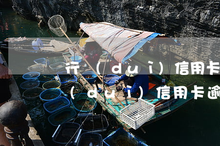 銀行對(duì)信用卡逾期怎么處理(銀行對(duì)信用卡逾期怎么處理)