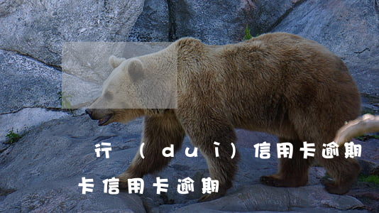銀行對(duì)信用卡逾期處理方法(銀行卡信用卡逾期)