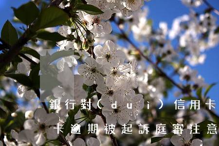 銀行對(duì)信用卡逾期起訴流程（信用卡逾期被起訴庭審注意事項(xiàng)）