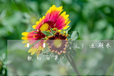 銀行對(duì)逾期未還款后果(逾期不還款的后果)