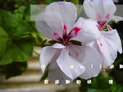 銀行對(duì)逾期貸款的處罰(如果銀行貸款逾期如何處理)