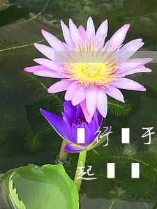 銀行對于呆賬還會起訴嗎(銀行對于呆賬還會起訴嗎)