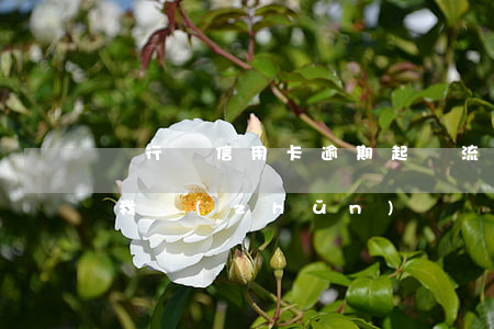 銀行對信用卡逾期起訴流程（信用卡逾期說讓我準(zhǔn)備訴訟材料）