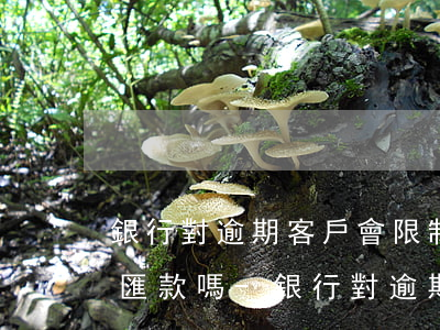 銀行對逾期客戶會限制轉(zhuǎn)賬匯款嗎-銀行對逾期客戶會限制轉(zhuǎn)賬匯款嗎為什么