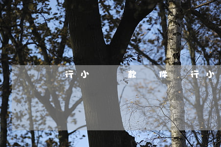 銀行小額貸款條件(銀行小額貸款條件)