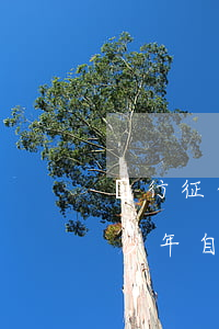 銀行征信有逾期多久消除(銀行征信有逾期多少年自動(dòng)消除)