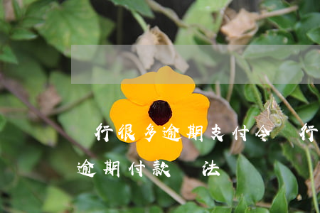 銀行很多逾期支付令(銀行有關(guān)逾期付款辦法)