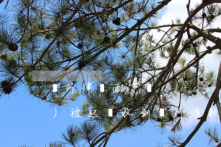 銀行律師函下來(lái)多久會(huì)被起訴(收到銀行催款律師函多久被起訴)