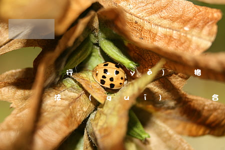 銀行從業(yè)資格銀行業(yè)法律法規(guī)與綜合能力(銀行從業(yè)資格公共基礎和銀行業(yè)法律法規(guī)與綜合能力一樣嗎)