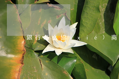銀行怎么協(xié)商停息掛賬-