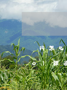 銀行怎么同意逾期還款(怎么告銀行導(dǎo)致逾期)