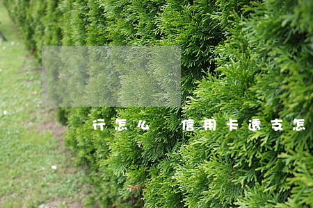 銀行怎么辦信用卡透支(怎樣辦理透支信用卡)