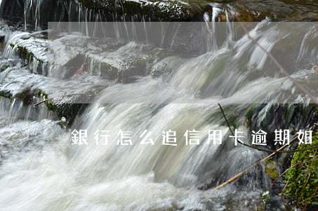 銀行怎么追信用卡逾期(如何查詢信用卡逾期)
