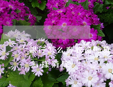 銀行怎么追收逾期貸款(銀行貸款逾期還款后怎樣消除)