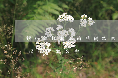 銀行怎樣起訴逾期貸款(信用貸款逾期了銀行起訴了怎么辦)