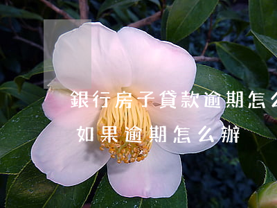 銀行房子貸款逾期怎么辦(在銀行貸款買房子,如果逾期怎么辦)