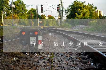 銀行房貸信用卡逾期過怎么辦(房貸卡逾期了怎么辦?)