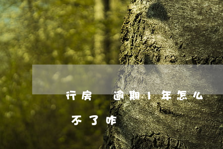 銀行房貸逾期1年怎么辦(銀行貸款逾期一年還不了咋辦)