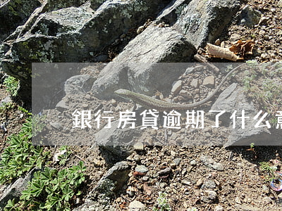 銀行房貸逾期了什么意思(房貸有逾期)