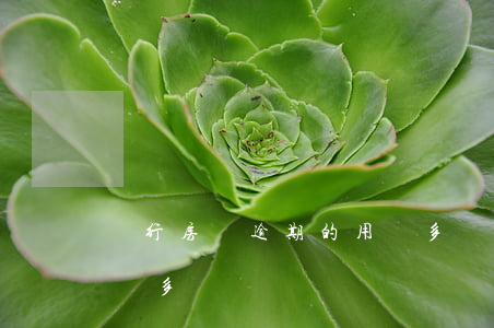 銀行房貸逾期的用戶多嗎(銀行房貸逾期的用戶多嗎)