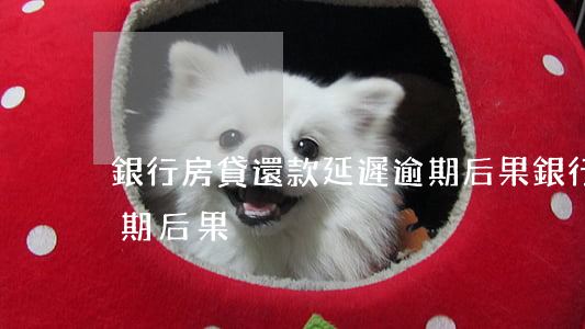銀行房貸還款延遲逾期后果(銀行貸款還貸逾期后果)
