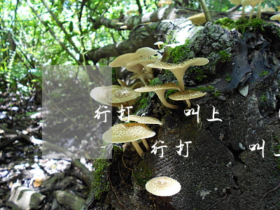 銀行打電話叫上門協(xié)商還款會怎樣-銀行打電話叫上門協(xié)商還款會怎樣呢