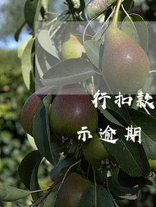 銀行扣款了怎么顯示逾期(銀行扣款了怎么顯示逾期)