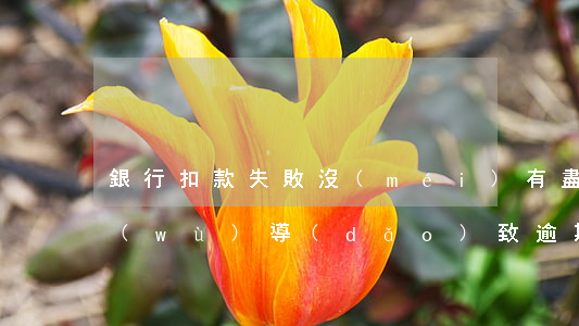 銀行扣款失敗沒(méi)有盡到告知義務(wù)導(dǎo)致逾期-銀行扣款失敗沒(méi)有盡到告知義務(wù)導(dǎo)致逾期怎么辦